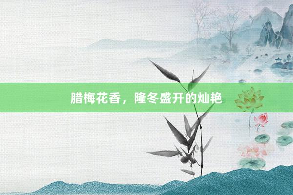 腊梅花香，隆冬盛开的灿艳