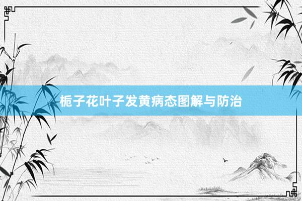 栀子花叶子发黄病态图解与防治