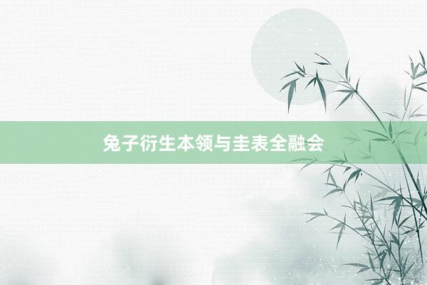 兔子衍生本领与圭表全融会